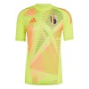 Maillot de Gardien Belgique Euro 2024 Jaune Pour Homme